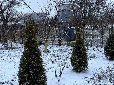 дом по адресу Чкалова