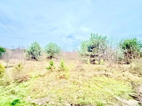 ділянка за адресою с. Гаразджа, Олександріївська