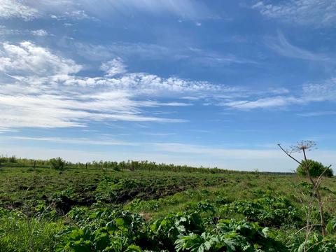 участок по адресу с. Подлужье, 