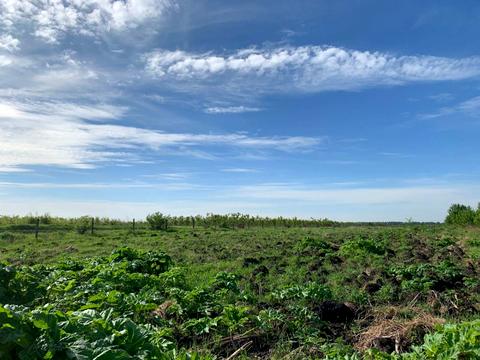 участок по адресу с. Подлужье, 