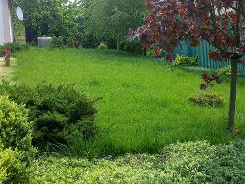 дом по адресу Евгения Колисниченко ул., 1