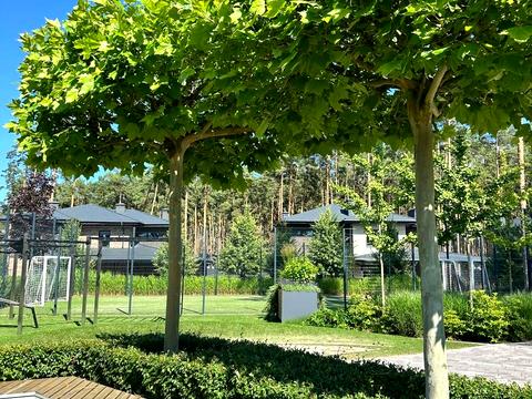 дом по адресу Институтская ул. (Артема)