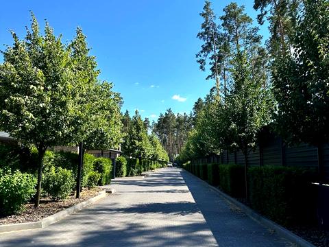 дом по адресу Институтская ул. (Артема)