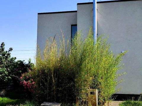 дом по адресу Сонячна, 4