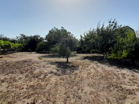 ділянка за адресою смт. Великодолинське, 30 линия