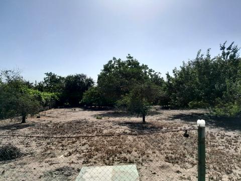 ділянка за адресою смт. Великодолинське, 30 линия