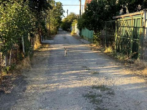 ділянка за адресою смт. Великодолинське, 30 линия