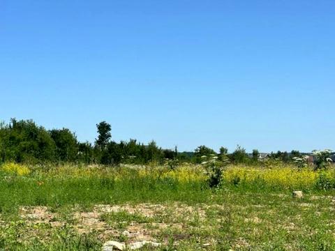 ділянка за адресою с. Підлужжя, 