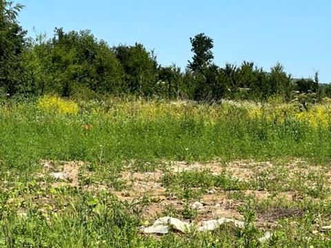 ділянка за адресою с. Підлужжя, 