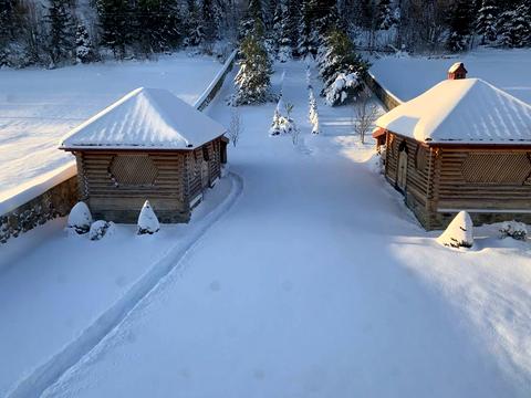 будинок за адресою с. Козаківка, Шевченка