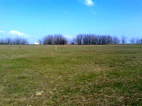 участок по адресу пгт. Овидиополь, 