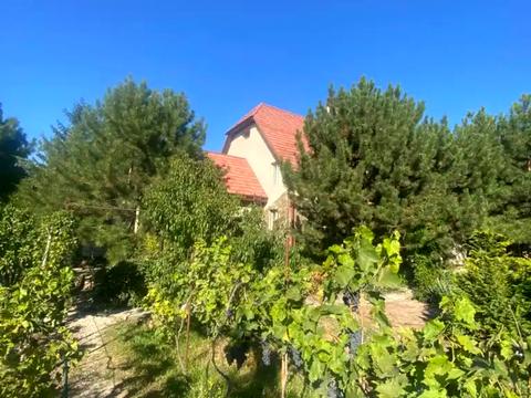 дом по адресу Дуговой пер.