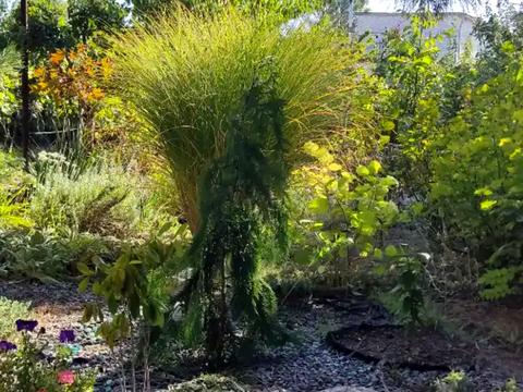 дом по адресу Дуговой пер.