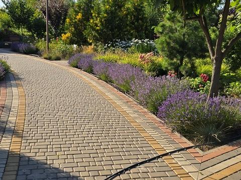 будинок за адресою Рожева, 16