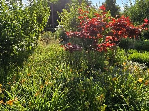 будинок за адресою Рожева, 16