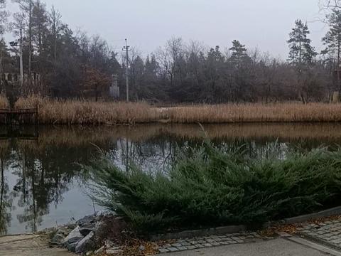 ділянка за адресою Садова