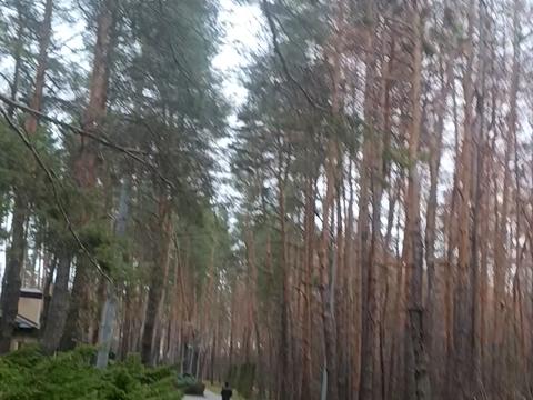 ділянка за адресою Садова