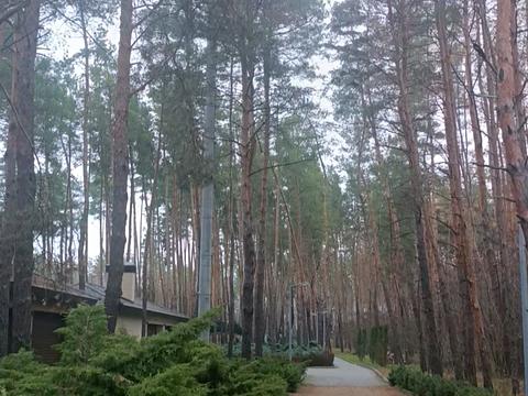 ділянка за адресою Садова