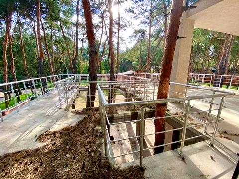 дом по адресу Некрасова