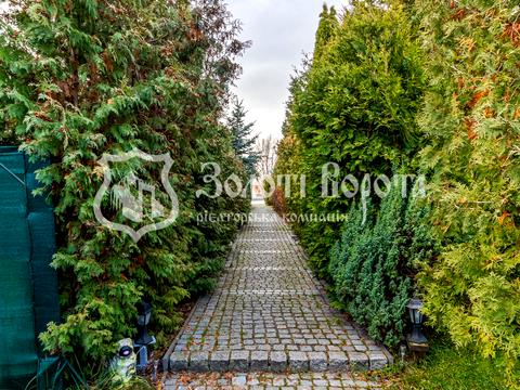 комерційна за адресою дор. Дрімленд, 51