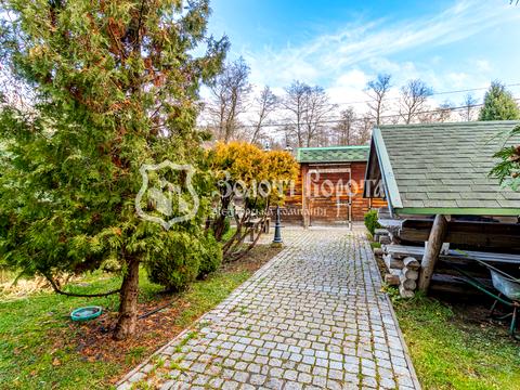 комерційна за адресою дор. Дрімленд, 51