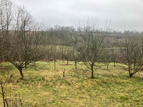 будинок за адресою Івана Богуна, 30