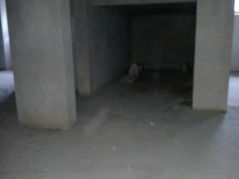 комерційна за адресою Сніжна вул., 52а