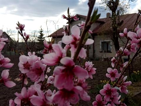 будинок за адресою Національного Відродження вул.