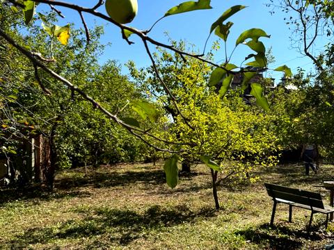 ділянка за адресою Цукровий проїзд