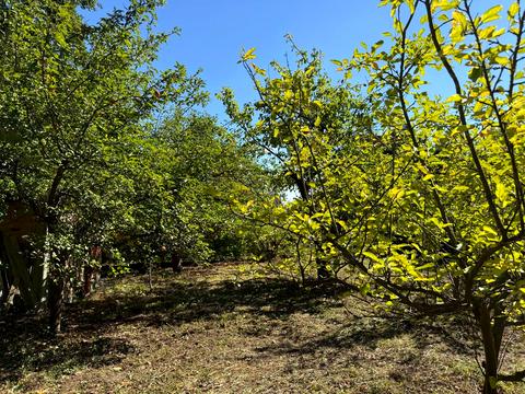 ділянка за адресою Цукровий проїзд