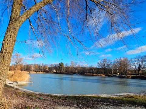 дом по адресу Польова