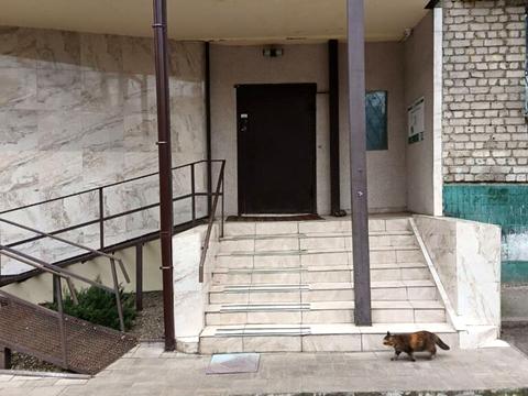 квартира за адресою Олекси Тихого вул. (Виборзька), 55/13