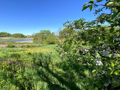 ділянка за адресою Карпатська