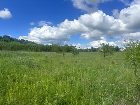 ділянка за адресою с. Зарванці, 