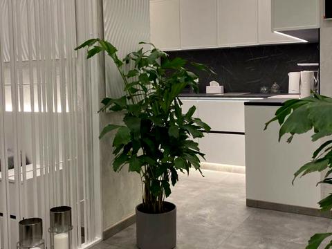 квартира за адресою Мартинова просп., 26