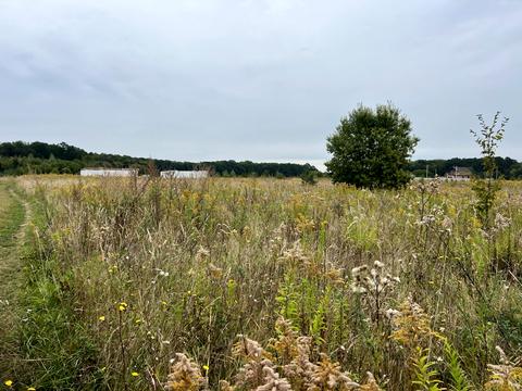 ділянка за адресою 