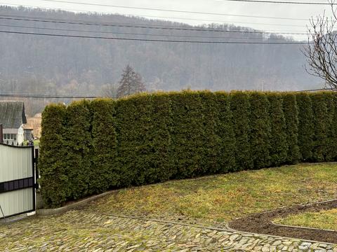 будинок за адресою Грушевського вул.