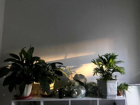 квартира за адресою Олеся Гончара вул., 8