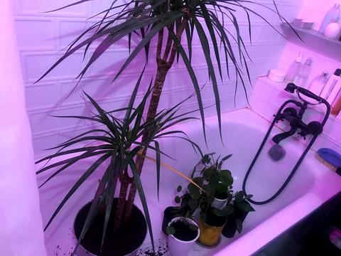 квартира за адресою Олеся Гончара вул., 8