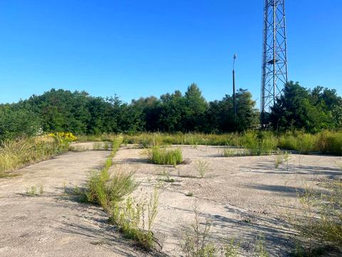 ділянка за адресою смт. Козин, Монашинська вул.