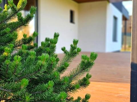 дом по адресу амосова