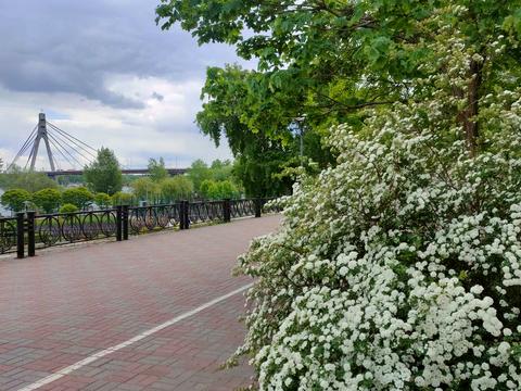 квартира за адресою Володимира Івасюка просп. (Героїв Сталінграду), 6-А