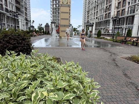 квартира за адресою Михайла Максимовича вул. (Онуфрія Трутенка), 26