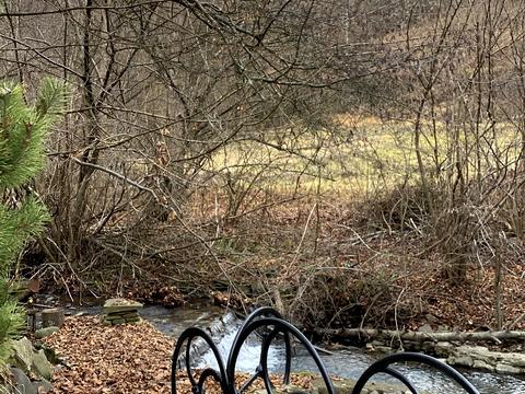 будинок за адресою Шевченка, 144