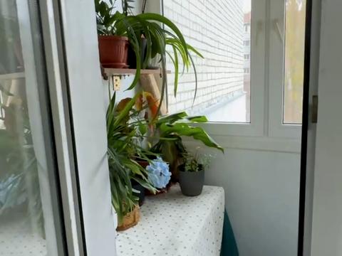 квартира за адресою Шишківська вул., 5