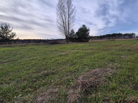 ділянка за адресою П. Могили