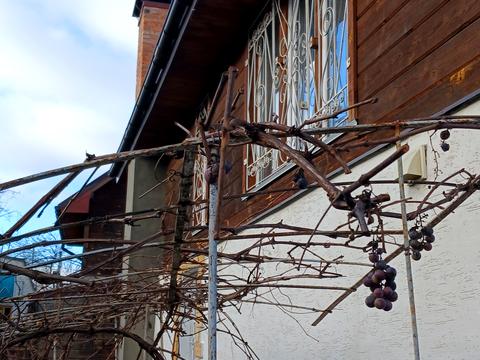 дом по адресу Виноградна