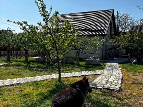 будинок за адресою с. Піщанка, Піщанка