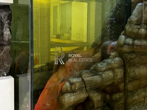 коммерческая по адресу Алексея Тихого ул. (Виборзька), 89-А