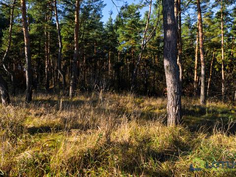 дом по адресу Ярослава Мудрого